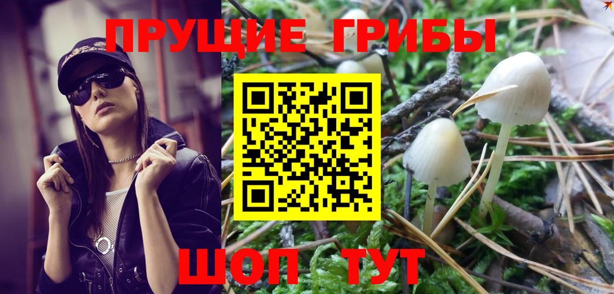 Псилоцибиновые грибы Psilocybine cubensis Лыткарино
